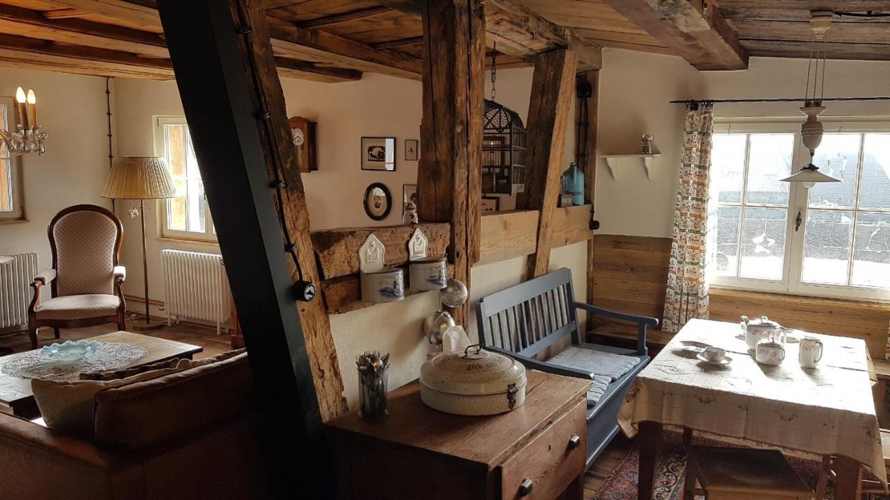 Historisches Fachwerkhaus "Hoher Hirschen" - Stilvolles Studio Und Museales Apartment Mit Romantischem Hof Und Garten Bodman-Ludwigshafen Zewnętrze zdjęcie