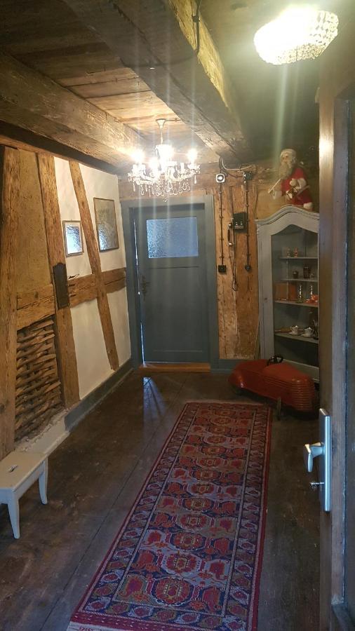 Historisches Fachwerkhaus "Hoher Hirschen" - Stilvolles Studio Und Museales Apartment Mit Romantischem Hof Und Garten Bodman-Ludwigshafen Zewnętrze zdjęcie